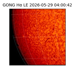 gong - 2026-05-29T04:00:42