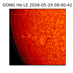 gong - 2026-05-29T08:00:42