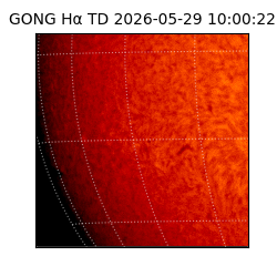 gong - 2026-05-29T10:00:22
