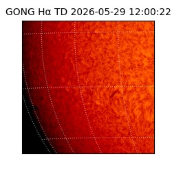 gong - 2026-05-29T12:00:22