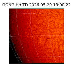 gong - 2026-05-29T13:00:22