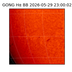 gong - 2026-05-29T23:00:02