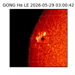 gong - 2026-05-29T03:00:42