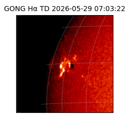 gong - 2026-05-29T07:03:22
