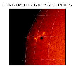 gong - 2026-05-29T11:00:22