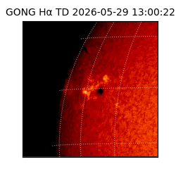 gong - 2026-05-29T13:00:22
