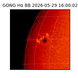 gong - 2026-05-29T16:00:02