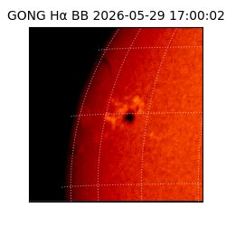 gong - 2026-05-29T17:00:02