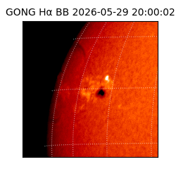 gong - 2026-05-29T20:00:02