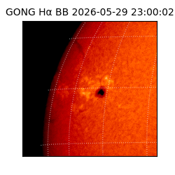 gong - 2026-05-29T23:00:02