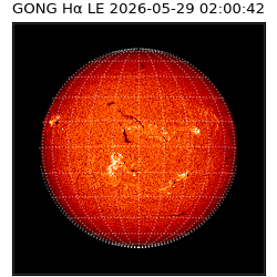 gong - 2026-05-29T02:00:42
