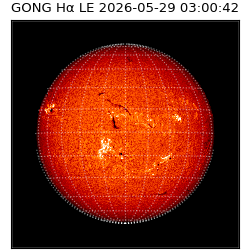 gong - 2026-05-29T03:00:42