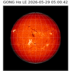 gong - 2026-05-29T05:00:42