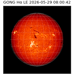 gong - 2026-05-29T08:00:42
