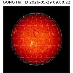 gong - 2026-05-29T09:00:22