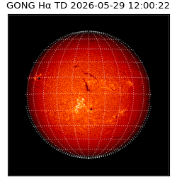 gong - 2026-05-29T12:00:22