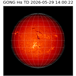 gong - 2026-05-29T14:00:22