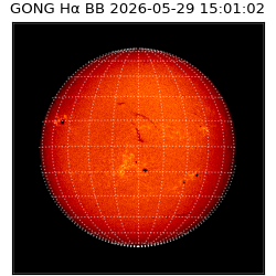 gong - 2026-05-29T15:01:02