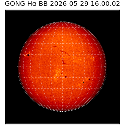 gong - 2026-05-29T16:00:02