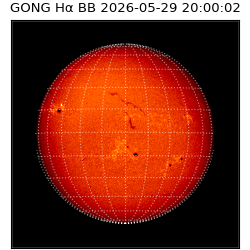 gong - 2026-05-29T20:00:02