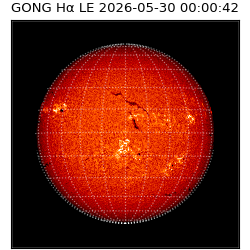 gong - 2026-05-30T00:00:42