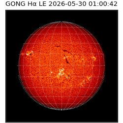 gong - 2026-05-30T01:00:42