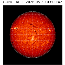 gong - 2026-05-30T03:00:42