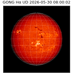 gong - 2026-05-30T08:00:02