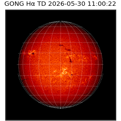 gong - 2026-05-30T11:00:22