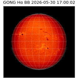 gong - 2026-05-30T17:00:02