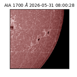 saia - 2026-05-31T08:00:28.716000