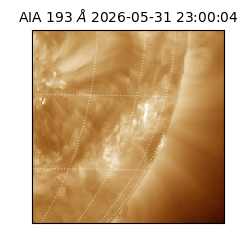 saia - 2026-05-31T23:00:04.843000