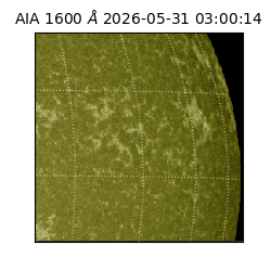 saia - 2026-05-31T03:00:14.129000