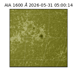 saia - 2026-05-31T05:00:14.131000
