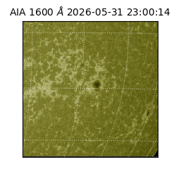 saia - 2026-05-31T23:00:14.123000