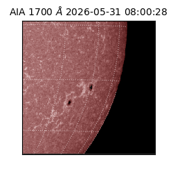 saia - 2026-05-31T08:00:28.716000