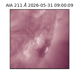 saia - 2026-05-31T09:00:09.620000