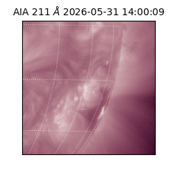 saia - 2026-05-31T14:00:09.623000