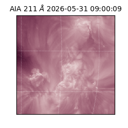 saia - 2026-05-31T09:00:09.620000