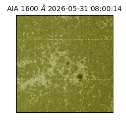 saia - 2026-05-31T08:00:14.123000