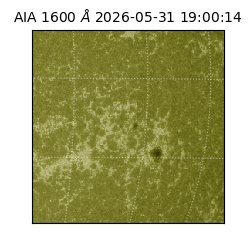 saia - 2026-05-31T19:00:14.124000