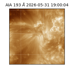 saia - 2026-05-31T19:00:04.842000