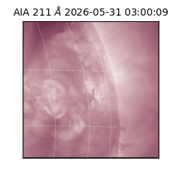 saia - 2026-05-31T03:00:09.623000