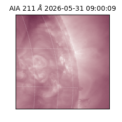 saia - 2026-05-31T09:00:09.620000