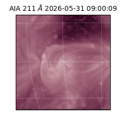 saia - 2026-05-31T09:00:09.620000