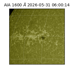 saia - 2026-05-31T06:00:14.124000