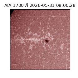 saia - 2026-05-31T08:00:28.716000