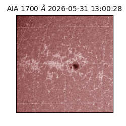 saia - 2026-05-31T13:00:28.725000