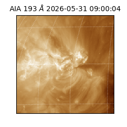 saia - 2026-05-31T09:00:04.842000