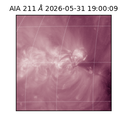 saia - 2026-05-31T19:00:09.630000